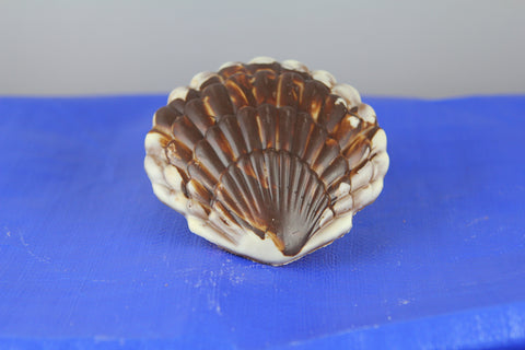 Muschel