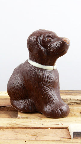 Hund